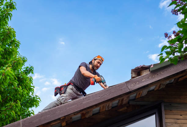 Professional Roofing service in Redondo Beach, CA